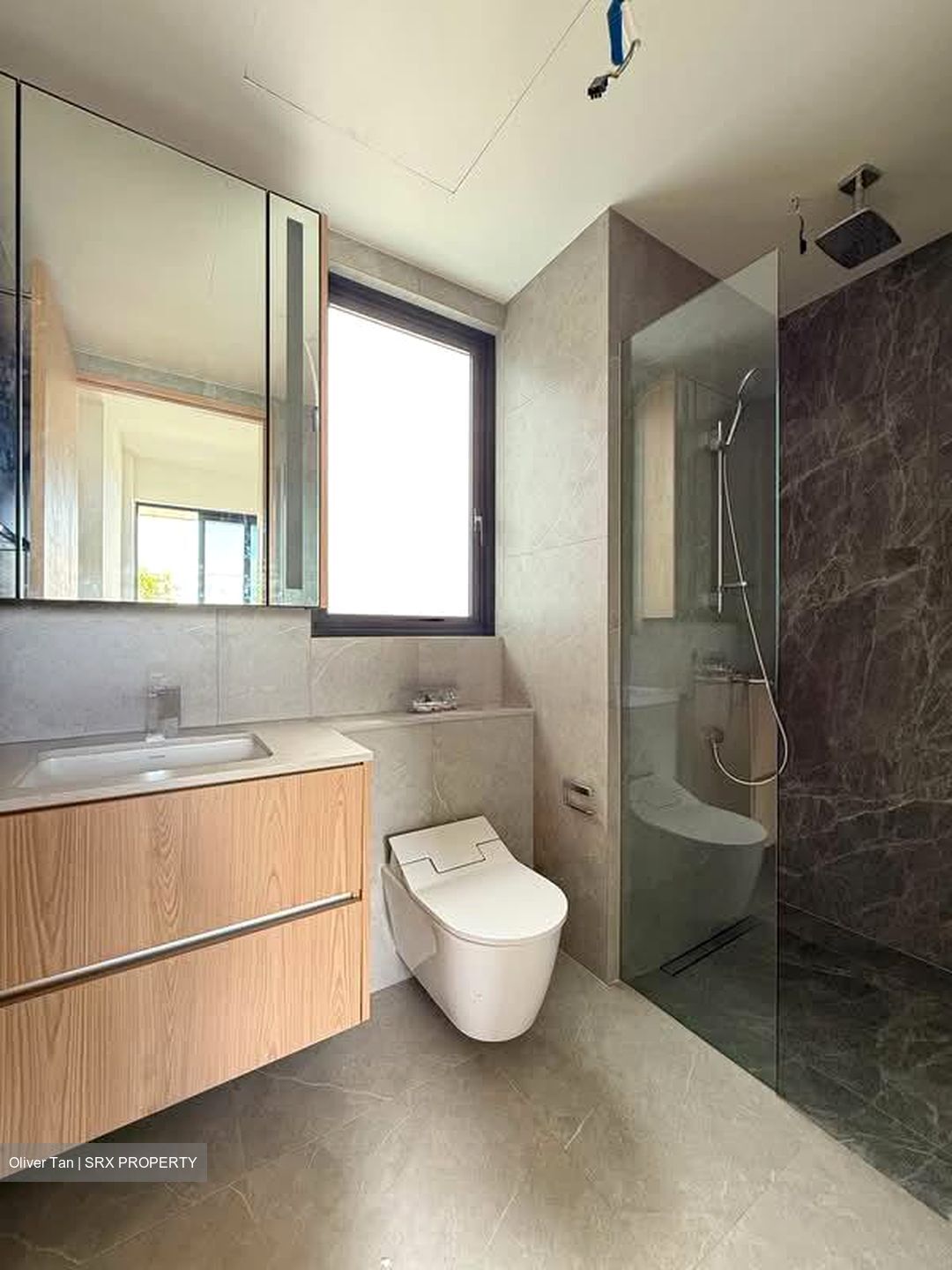 Peak Residence (D11), Condominium #566713401